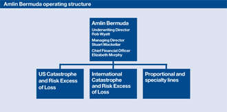 Amlin Bermuda operating structure