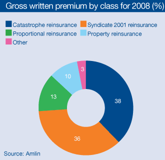 Gross written premium by class for 2008 (%)