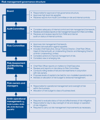 Risk management governance structure