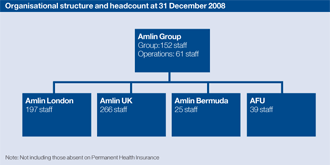 Organisational structure and headcount at 31 December 2008