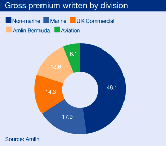 Gross premium written by division