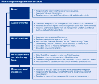 Risk management governance structure