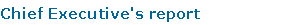 Chief Executive's report
