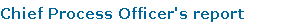 Chief Process Officer's report