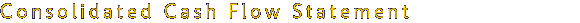 Consolidated Cash Flow Statement