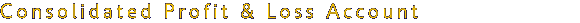 Consolidated Profit & Loss Account