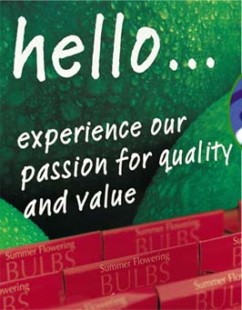 hello... experience our passion for quality and value